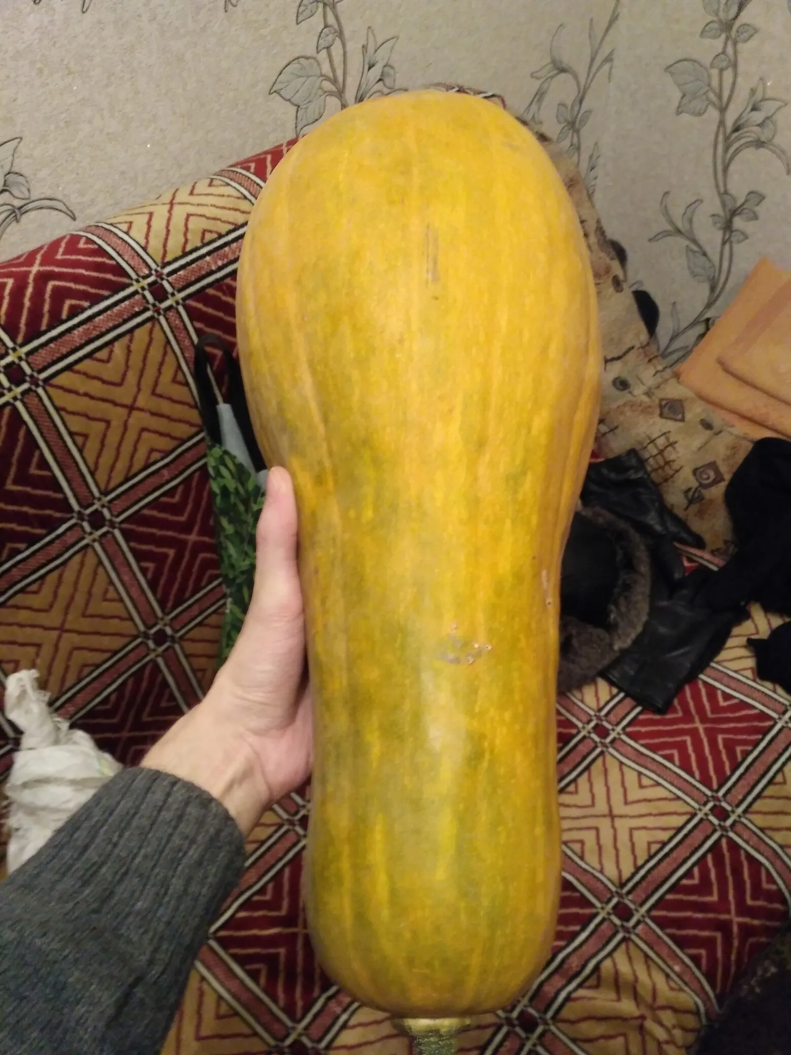 This is a zucchini.