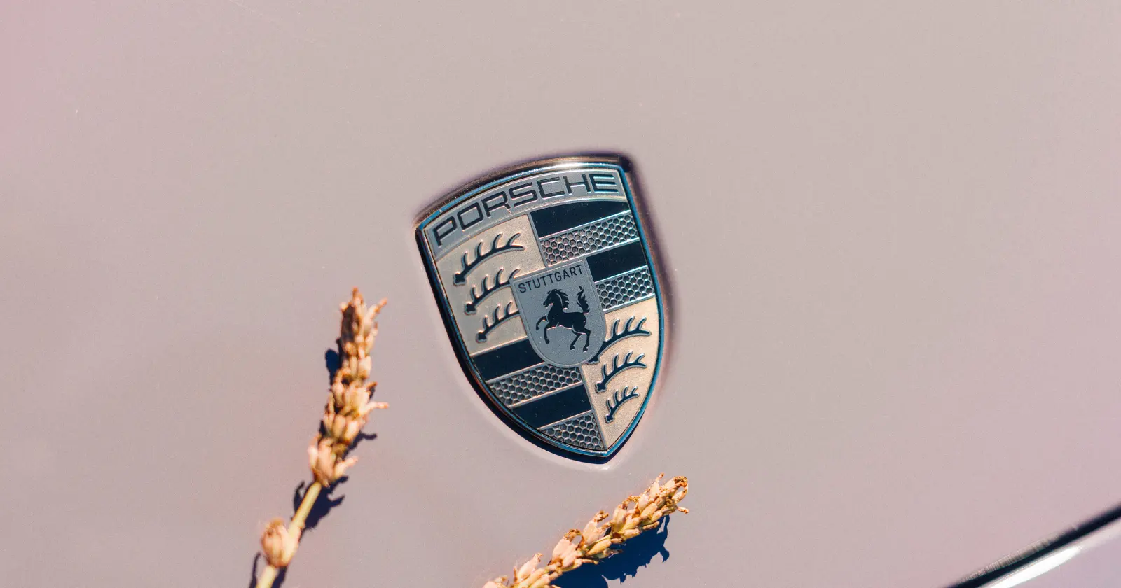 Porsche Macan Electric among the vineyards of the Oltrepò Pavese