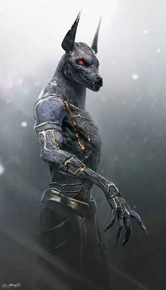 DARO66